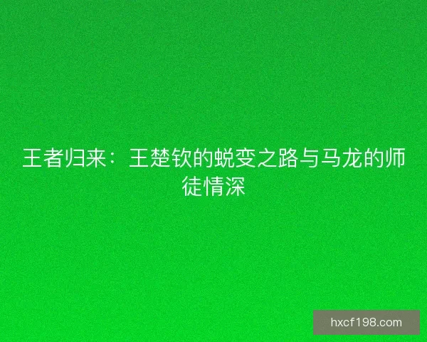 王者归来：王楚钦的蜕变之路与马龙的师徒情深