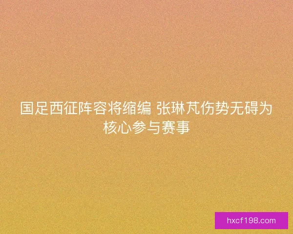 国足西征阵容将缩编 张琳芃伤势无碍为核心参与赛事
